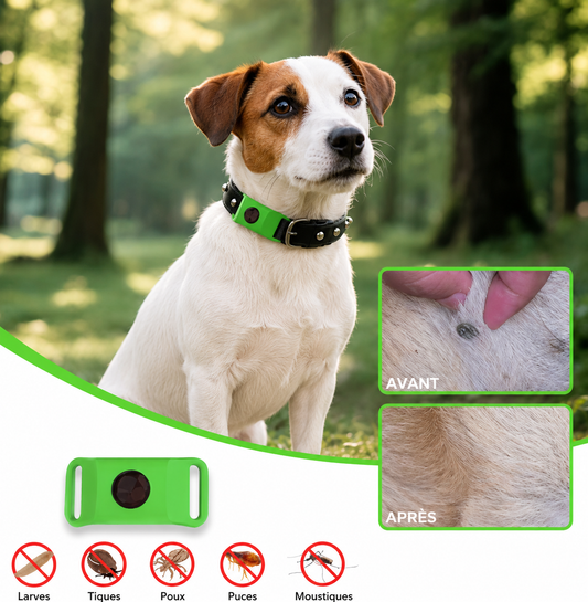 Protection Anti-Puces & Tiques 100% Naturelle — 8 Mois pour Chien